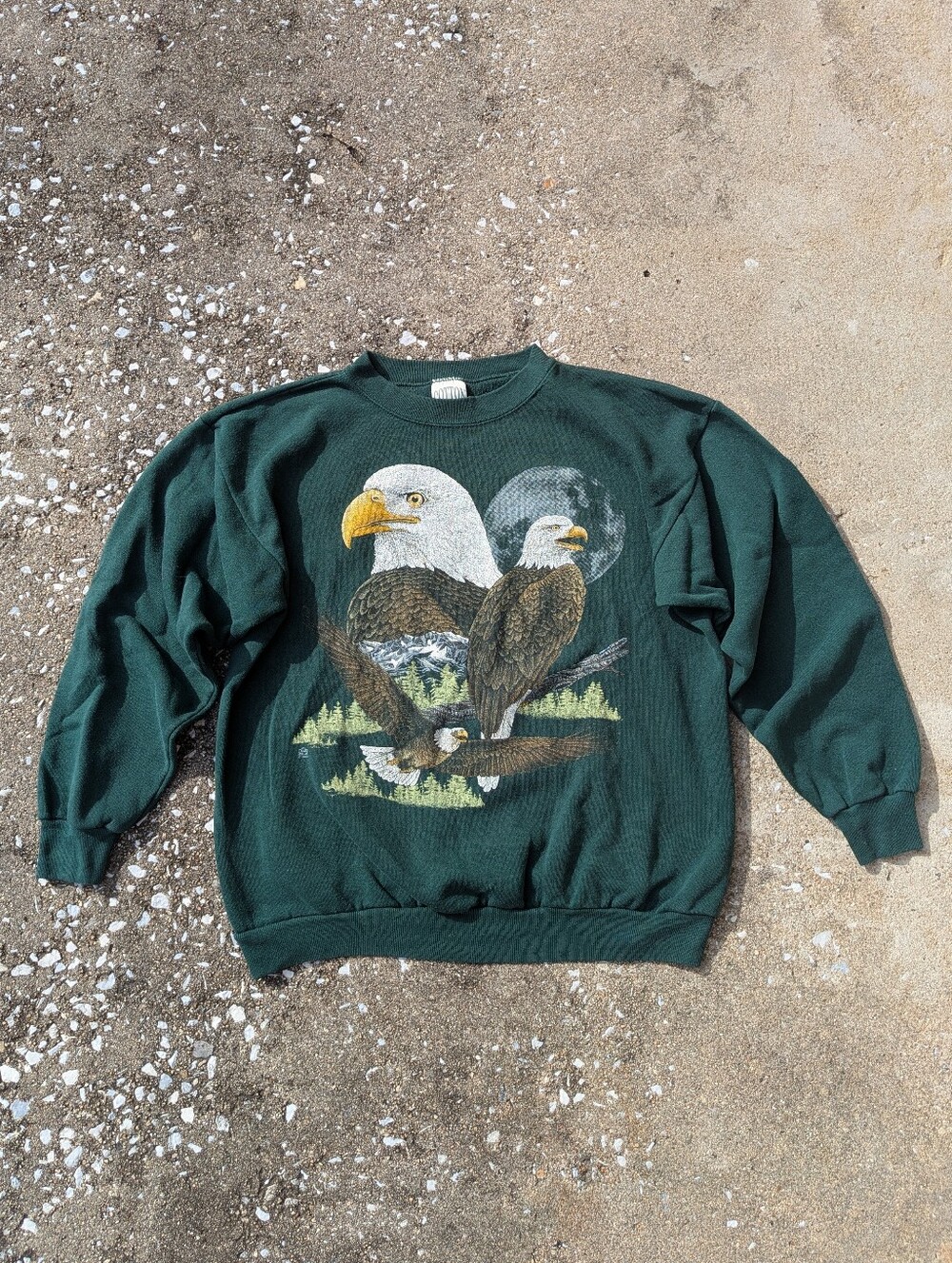 Vintage Bald Eagles Crewneck In Forest Green